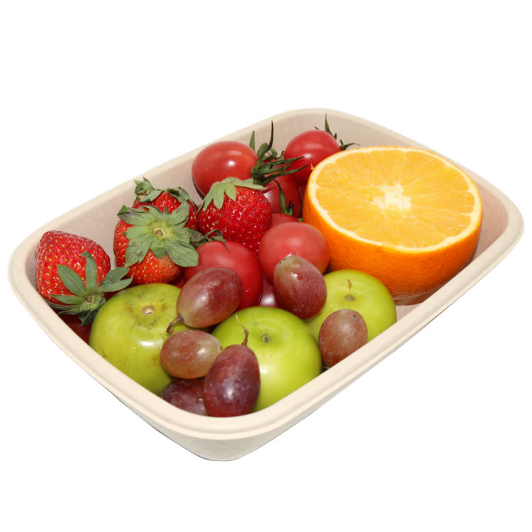750ml Sugarcane Bowl / Lid