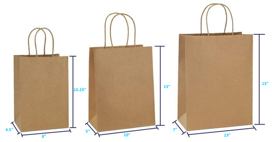 13" Paper Bags with Handle